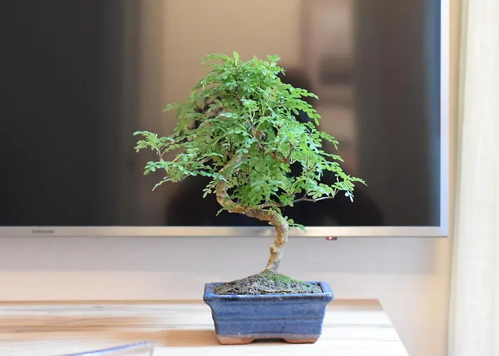 Baxeico Old Town Parking Free Génova